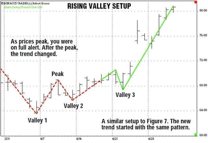 The-New-Gann-Swing-Chartist-09