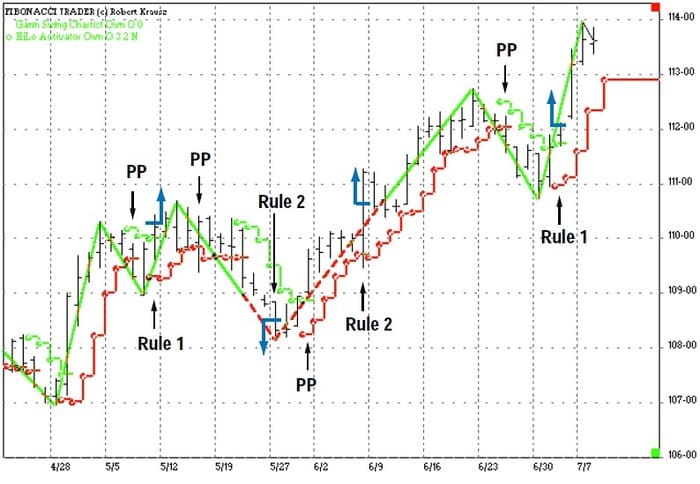 The-New-Gann-Swing-Chartist-27