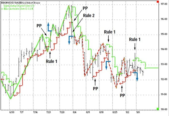 The-New-Gann-Swing-Chartist-28