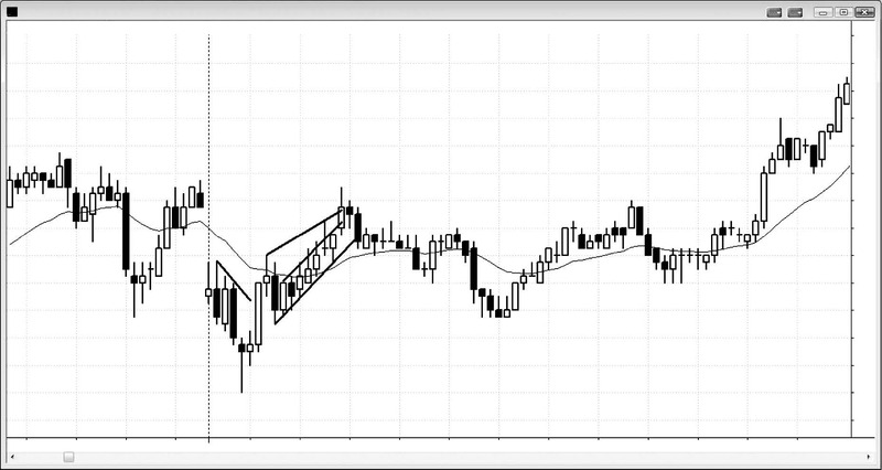 Trading Price Action Trends By Al Brooks 02